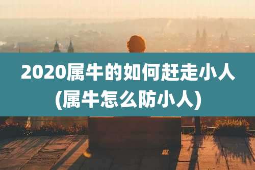 2020属牛的如何赶走小人(属牛怎么防小人)