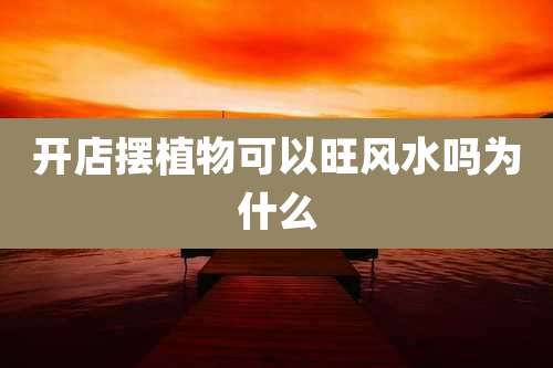 开店摆植物可以旺风水吗为什么