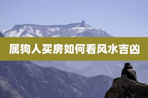 属狗人买房如何看风水吉凶