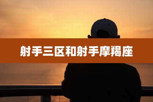 射手三区和射手摩羯座