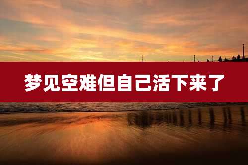 梦见空难但自己活下来了