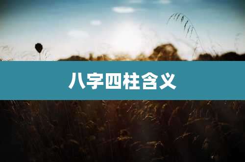 八字四柱含义