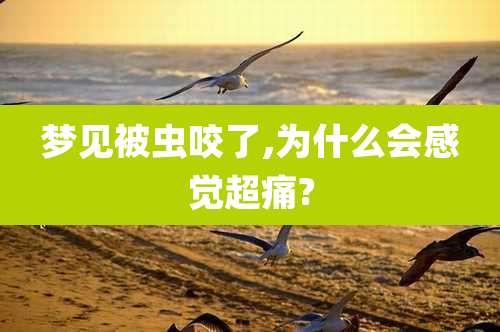 梦见被虫咬了,为什么会感觉超痛?