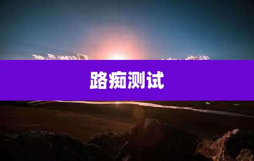 路痴测试