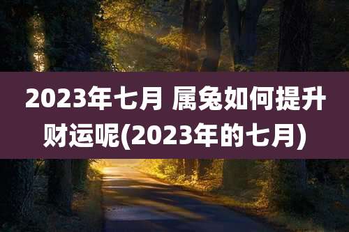 2023年七月 属兔如何提升财运呢(2023年的七月)