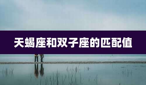 天蝎座和双子座的匹配值