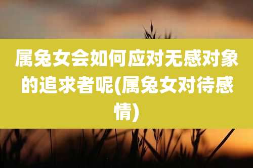 属兔女会如何应对无感对象的追求者呢(属兔女对待感情)