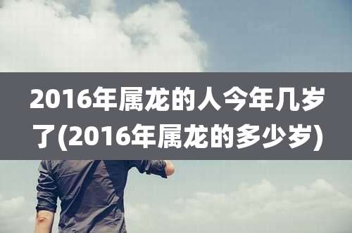 2016年属龙的人今年几岁了(2016年属龙的多少岁)