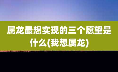 属龙最想实现的三个愿望是什么(我想属龙)