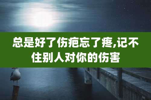 总是好了伤疤忘了疼,记不住别人对你的伤害