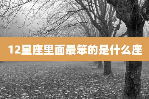 12星座里面最笨的是什么座