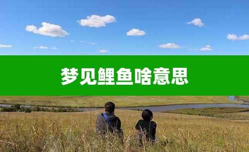 梦见鲤鱼啥意思