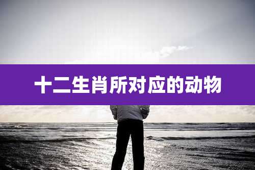 十二生肖所对应的动物