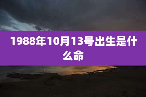 1988年10月13号出生是什么命