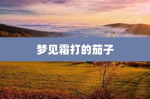 梦见霜打的茄子