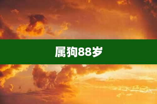 属狗88岁