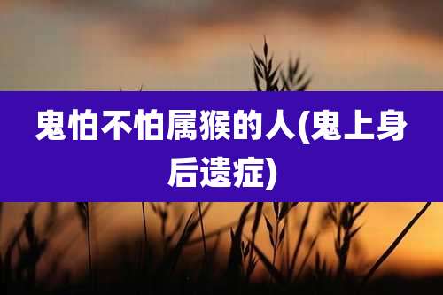 鬼怕不怕属猴的人(鬼上身后遗症)