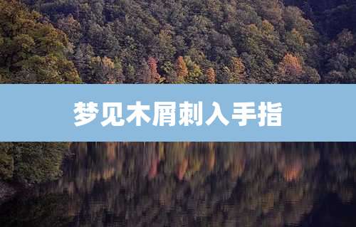 梦见木屑刺入手指