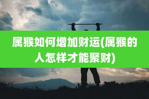 属猴如何增加财运(属猴的人怎样才能聚财)