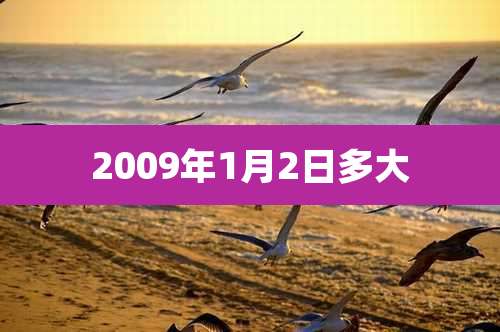 2009年1月2日多大