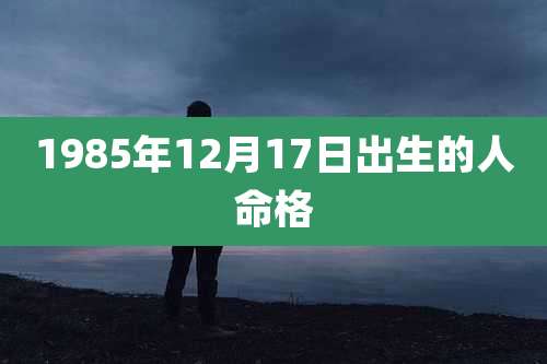 1985年12月17日出生的人命格
