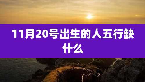 11月20号出生的人五行缺什么