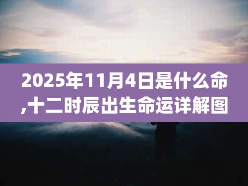 2025年11月4日是什么命,十二时辰出生命运详解图