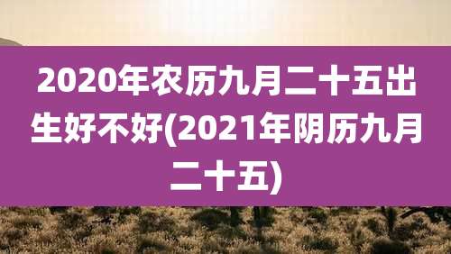 2020年农历九月二十五出生好不好(2021年阴历九月二十五)