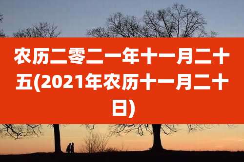 农历二零二一年十一月二十五(2021年农历十一月二十日)