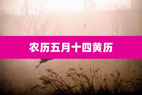 农历五月十四黄历