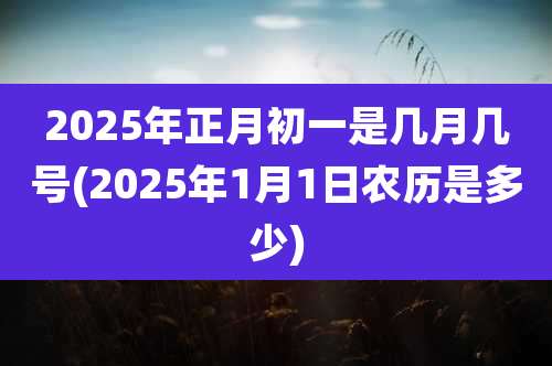 2025年正月初一是几月几号(2025年1月1日农历是多少)