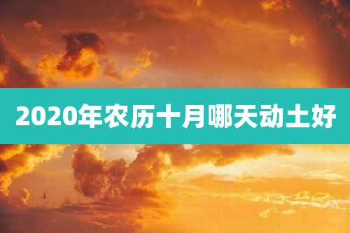 2020年农历十月哪天动土好