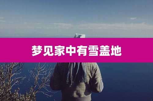 梦见家中有雪盖地