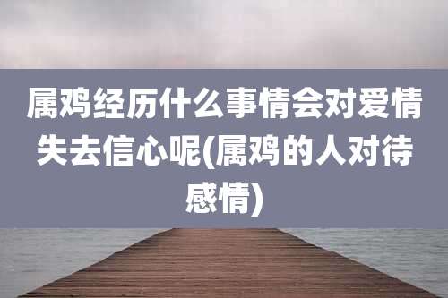 属鸡经历什么事情会对爱情失去信心呢(属鸡的人对待感情)