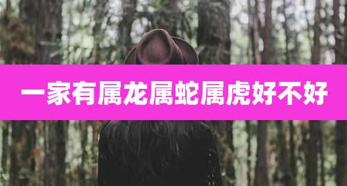 一家有属龙属蛇属虎好不好