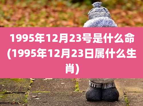 1995年12月23号是什么命(1995年12月23日属什么生肖)