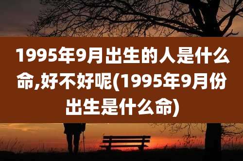 1995年9月出生的人是什么命,好不好呢(1995年9月份出生是什么命)