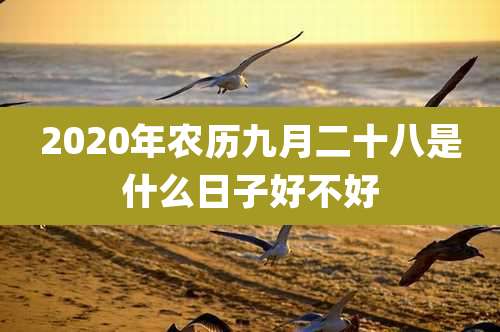 2020年农历九月二十八是什么日子好不好