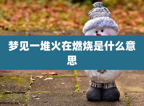 梦见一堆火在燃烧是什么意思