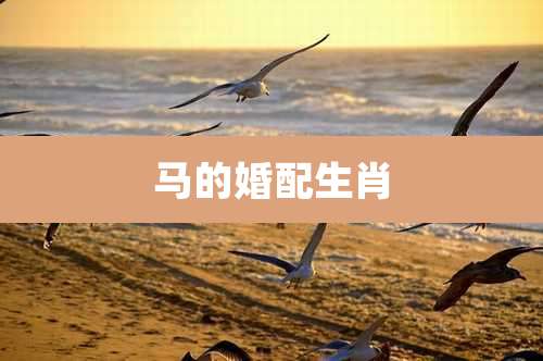 马的婚配生肖