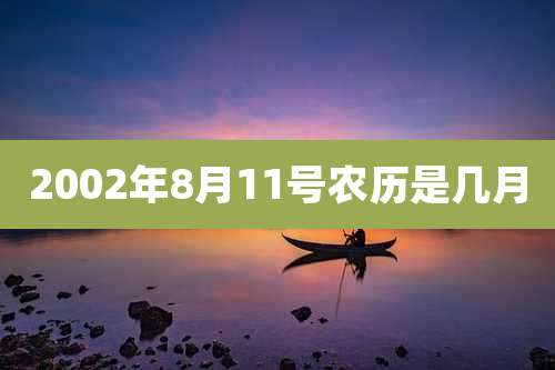 2002年8月11号农历是几月