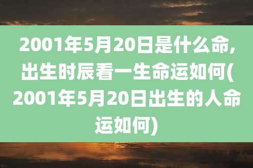 2001年5月20日是什么命,出生时辰看一生命运如何(2001年5月20日出生的人命运如何)