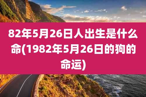 82年5月26日人出生是什么命(1982年5月26日的狗的命运)