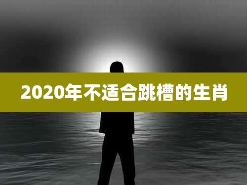 2020年不适合跳槽的生肖