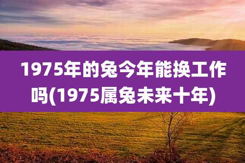 1975年的兔今年能换工作吗(1975属兔未来十年)