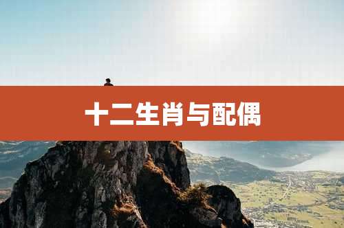 十二生肖与配偶