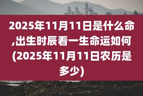 2025年11月11日是什么命,出生时辰看一生命运如何(2025年11月11日农历是多少)