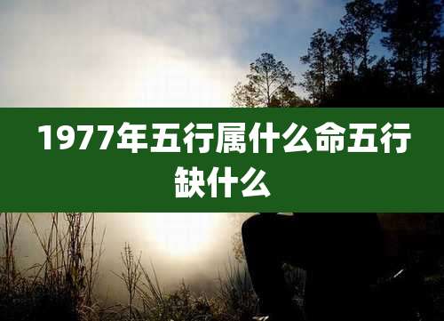 1977年五行属什么命五行缺什么