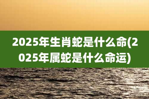 2025年生肖蛇是什么命(2025年属蛇是什么命运)