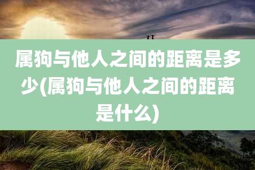 属狗与他人之间的距离是多少(属狗与他人之间的距离是什么)